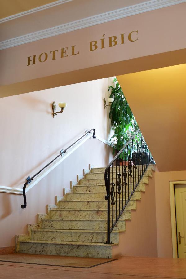 Hotel Bibic Es Tueskevar Etterem Es Horgaszto Mestecǎneşti Exterior foto